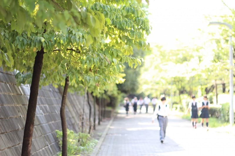 通信制高校 転入・編入 条件